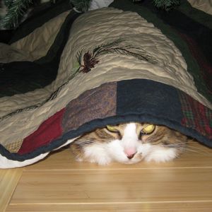 Meet your Posher, Lesley